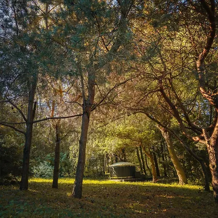 W Ogrodzie Dla Gosci