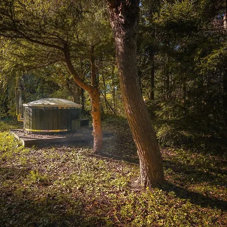 W Ogrodzie Dla Gosci * Sasino