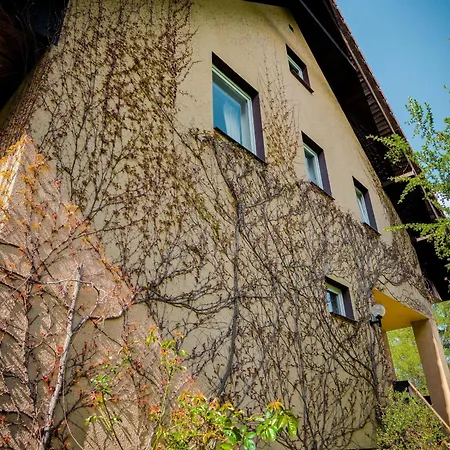 W Ogrodzie Dla Gosci Sasino