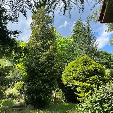 W Ogrodzie Dla Gosci Sasino