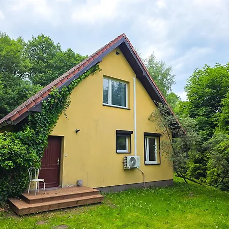 Orman Evi W Ogrodzie Dla Gosci