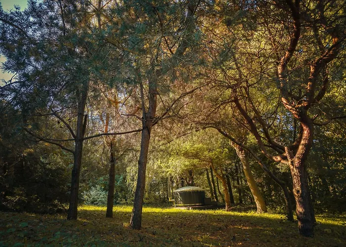 W Ogrodzie Dla Gosci