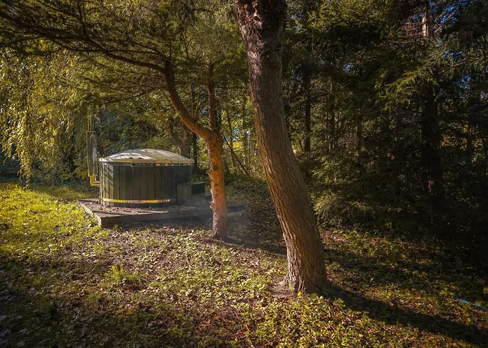 W Ogrodzie Dla Gosci * Sasino