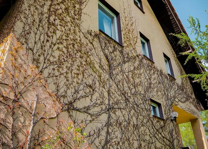 W Ogrodzie Dla Gosci Sasino