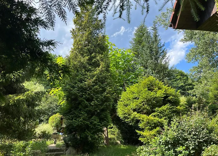 W Ogrodzie Dla Gosci Sasino