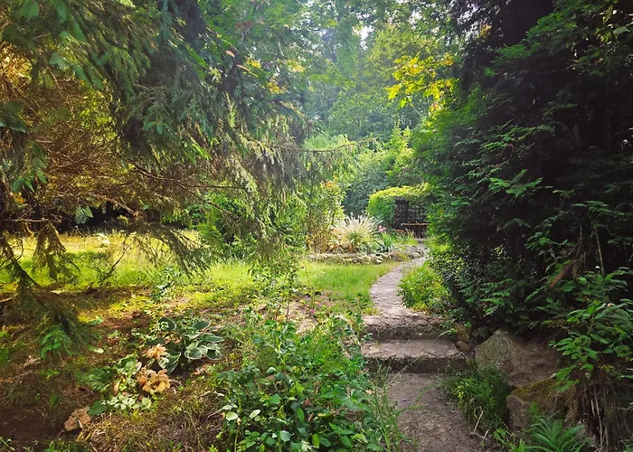 W Ogrodzie Dla Gosci * Sasino